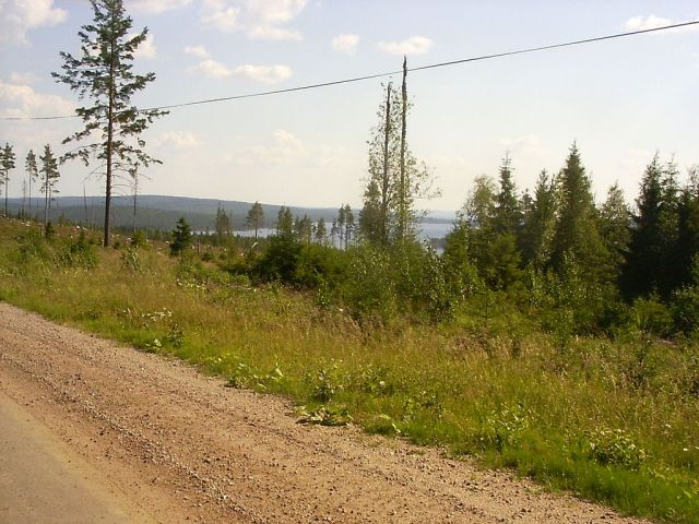 Geijersholm-tyngsjo-21